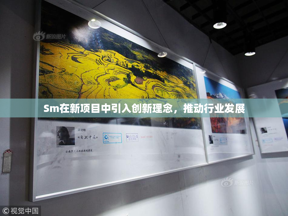 Sm在新项目中引入创新理念，推动行业发展