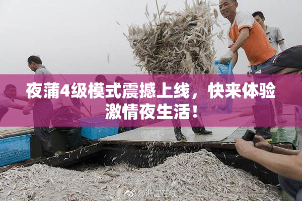 夜蒲4级模式震撼上线，快来体验激情夜生活！