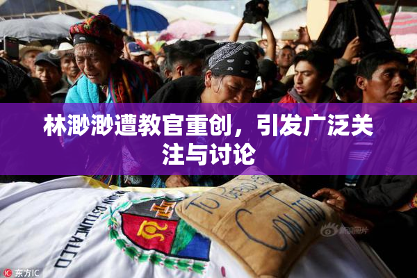 林渺渺遭教官重创，引发广泛关注与讨论