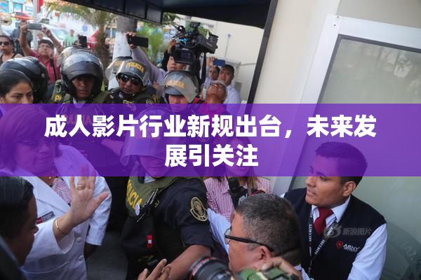 成人影片行业新规出台，未来发展引关注