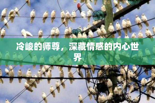 冷峻的师尊，深藏情感的内心世界