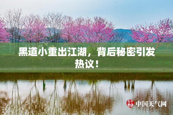 黑道小重出江湖，背后秘密引发热议！