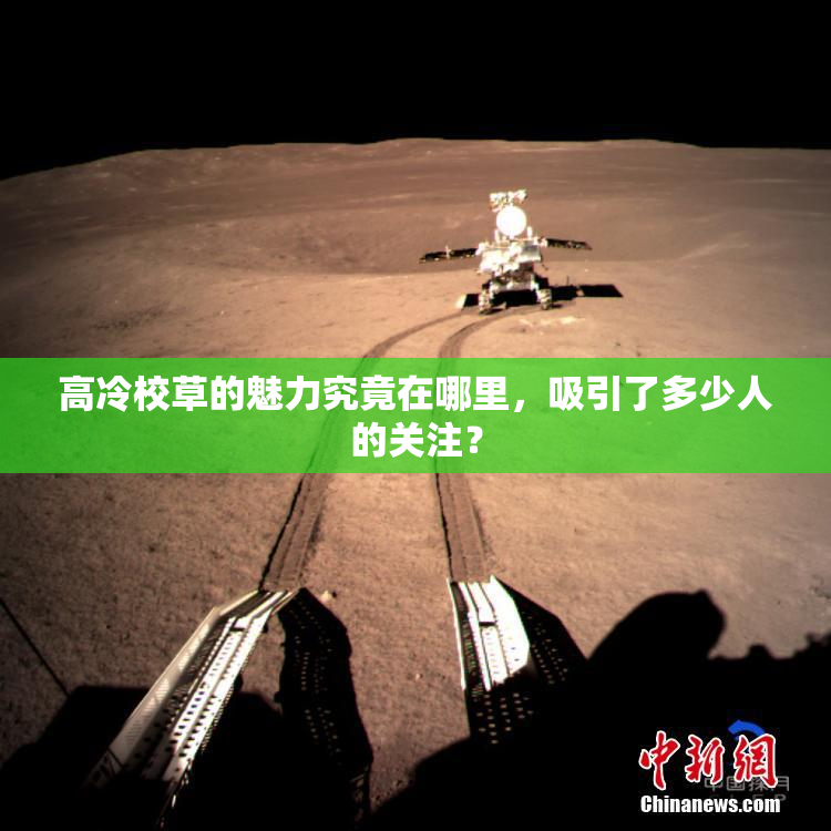 高冷校草的魅力究竟在哪里，吸引了多少人的关注？