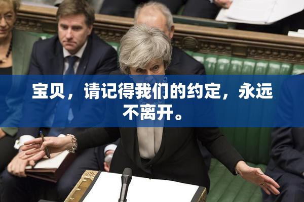宝贝，请记得我们的约定，永远不离开。