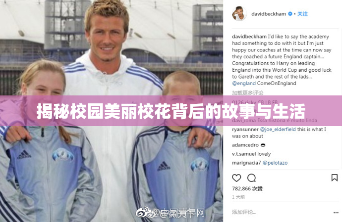 揭秘校园美丽校花背后的故事与生活