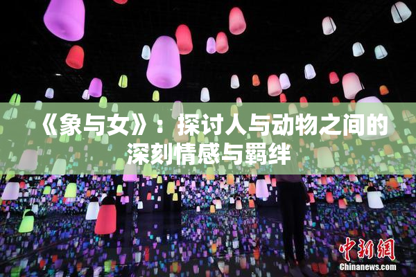 《象与女》：探讨人与动物之间的深刻情感与羁绊