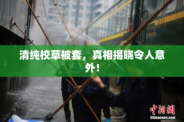 清纯校草被套，真相揭晓令人意外！