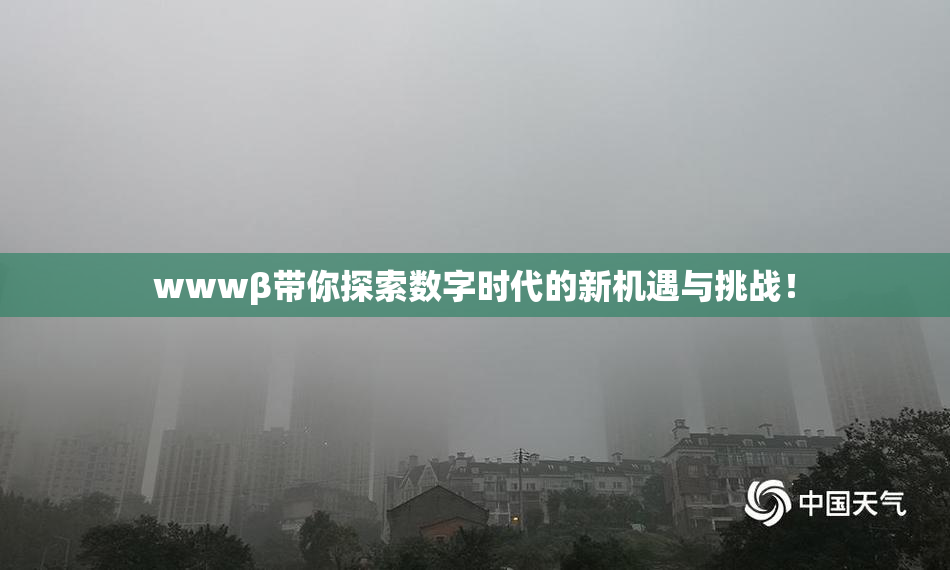 wwwβ带你探索数字时代的新机遇与挑战！