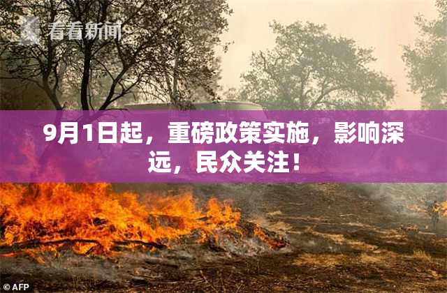 9月1日起，重磅政策实施，影响深远，民众关注！