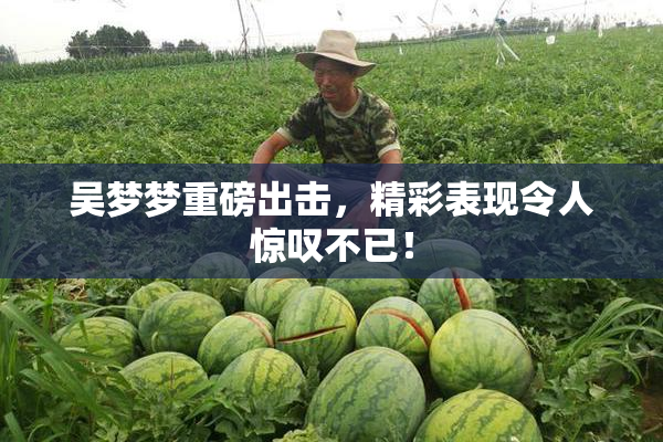 吴梦梦重磅出击，精彩表现令人惊叹不已！