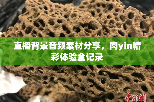 直播背景音频素材分享，肉yin精彩体验全记录