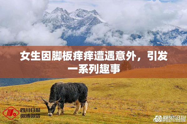 女生因脚板痒痒遭遇意外，引发一系列趣事