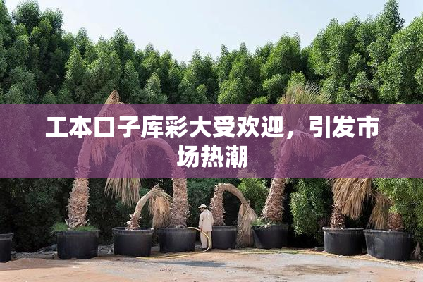 工本口子库彩大受欢迎，引发市场热潮