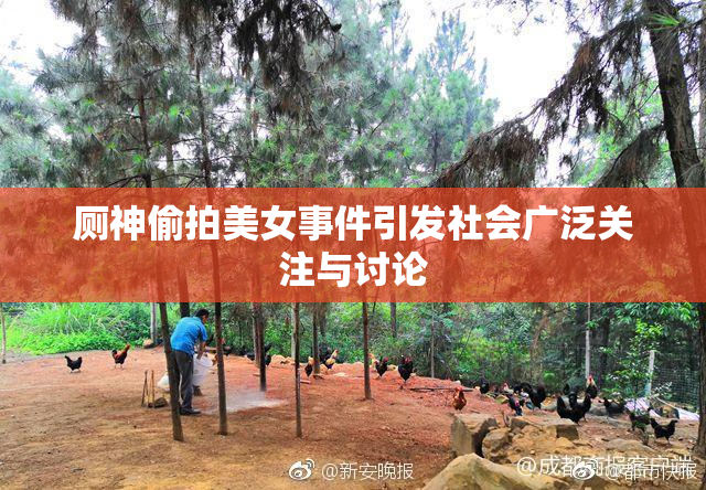 厕神偷拍美女事件引发社会广泛关注与讨论