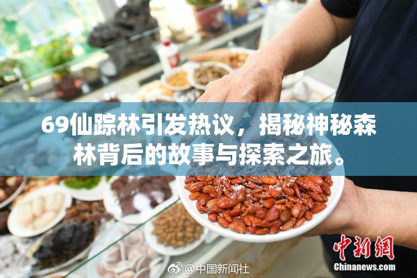69仙踪林引发热议，揭秘神秘森林背后的故事与探索之旅。