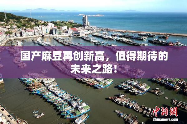 国产麻豆再创新高，值得期待的未来之路！