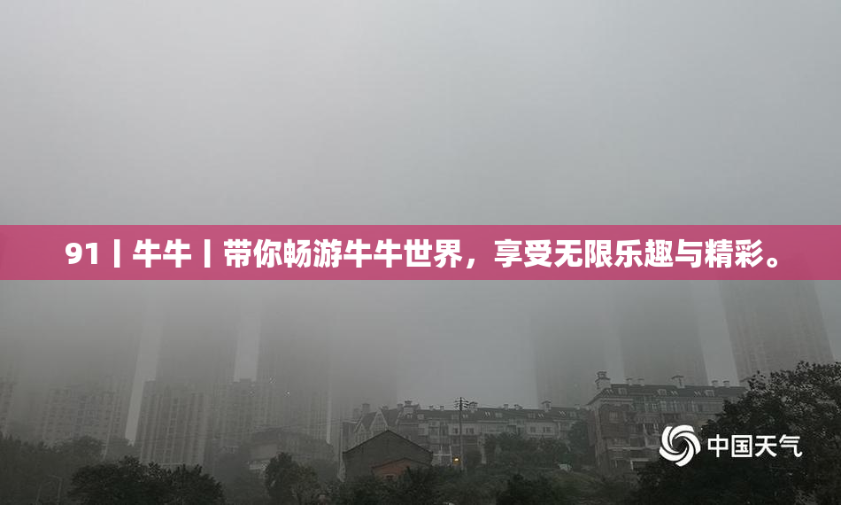 91丨牛牛丨带你畅游牛牛世界，享受无限乐趣与精彩。