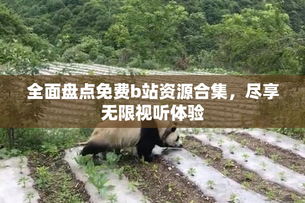全面盘点免费b站资源合集，尽享无限视听体验