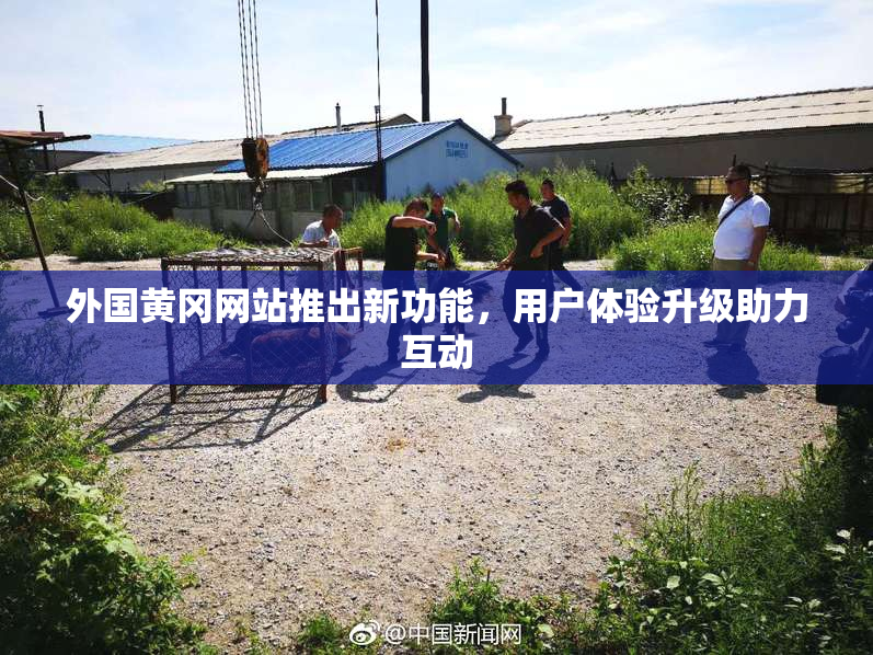 外国黄冈网站推出新功能，用户体验升级助力互动
