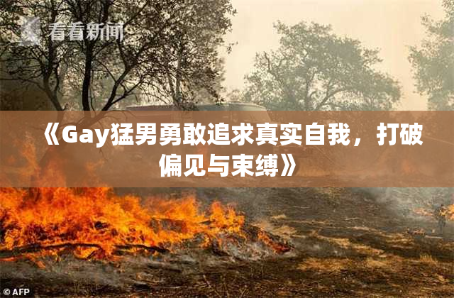 《Gay猛男勇敢追求真实自我，打破偏见与束缚》