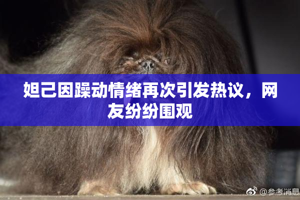 妲己因躁动情绪再次引发热议，网友纷纷围观