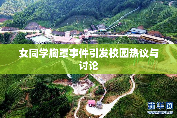 女同学胸罩事件引发校园热议与讨论