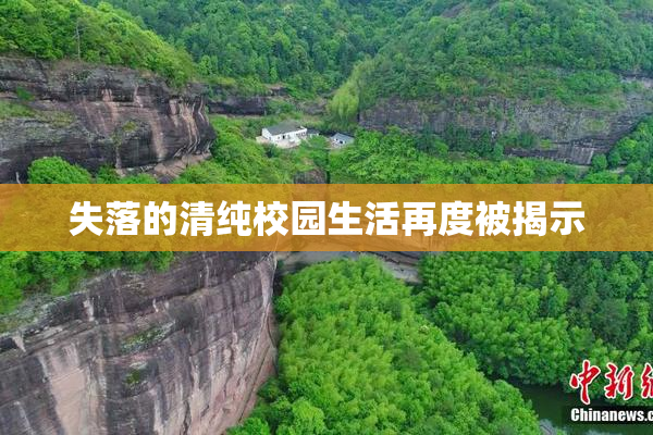 失落的清纯校园生活再度被揭示