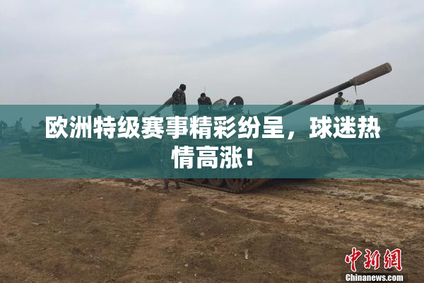 欧洲特级赛事精彩纷呈，球迷热情高涨！