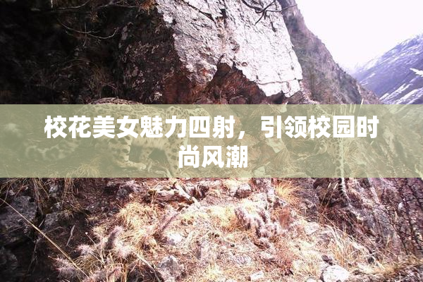 校花美女魅力四射，引领校园时尚风潮