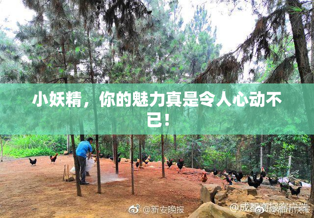 小妖精，你的魅力真是令人心动不已！