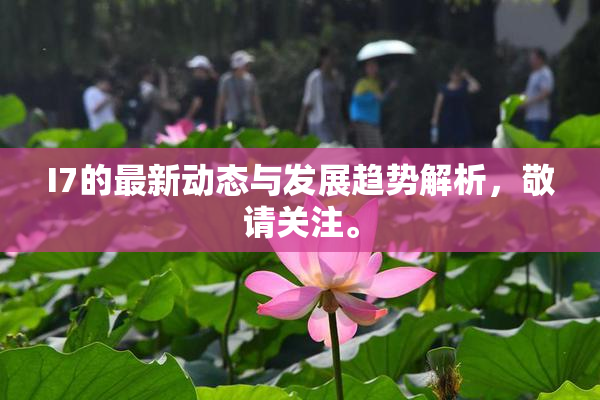 I7的最新动态与发展趋势解析，敬请关注。