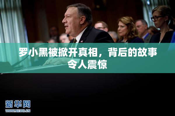 罗小黑被掀开真相，背后的故事令人震惊