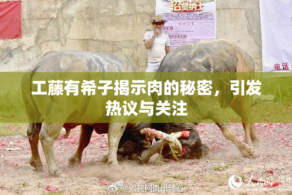 工藤有希子揭示肉的秘密，引发热议与关注