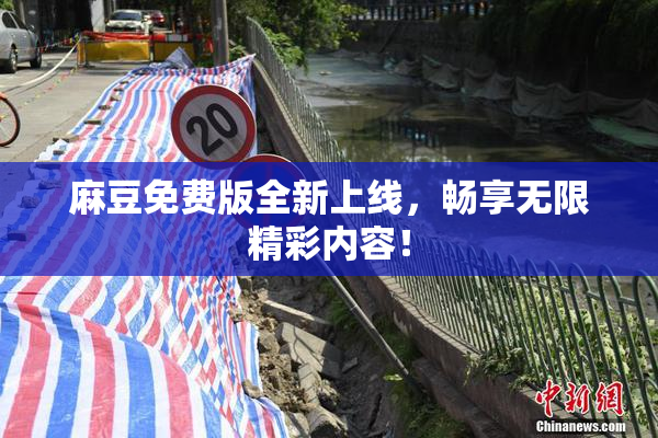 麻豆免费版全新上线，畅享无限精彩内容！