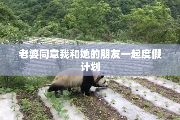 老婆同意我和她的朋友一起度假计划