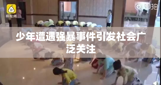 少年遭遇强暴事件引发社会广泛关注