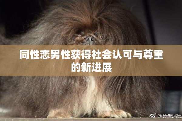 同性恋男性获得社会认可与尊重的新进展