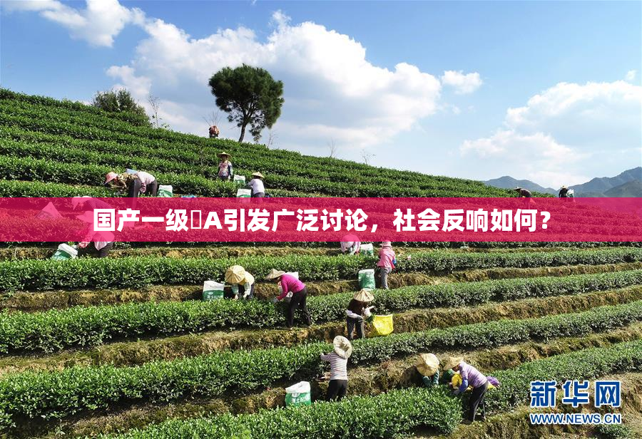 国产一级婬A引发广泛讨论，社会反响如何？