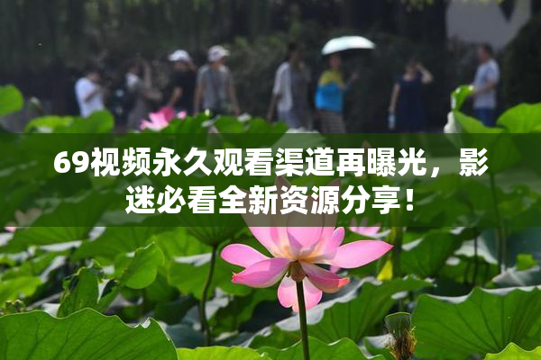 69视频永久观看渠道再曝光，影迷必看全新资源分享！