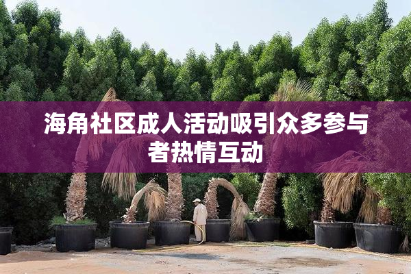 海角社区成人活动吸引众多参与者热情互动