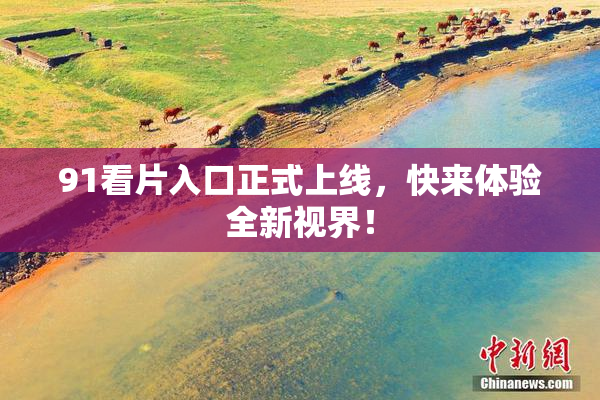 91看片入口正式上线，快来体验全新视界！