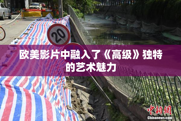 欧美影片中融入了《高级》独特的艺术魅力