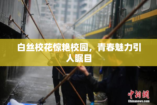 白丝校花惊艳校园，青春魅力引人瞩目
