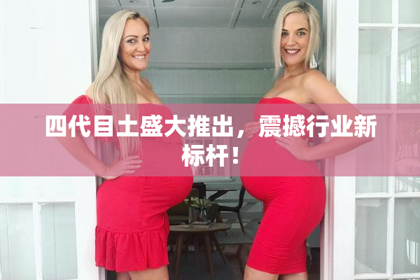 四代目土盛大推出，震撼行业新标杆！