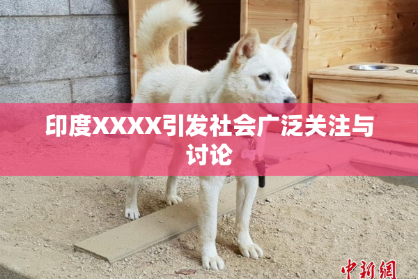 印度XXXX引发社会广泛关注与讨论