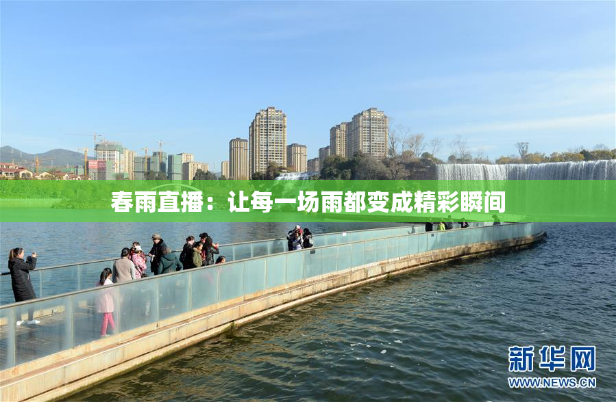 春雨直播：让每一场雨都变成精彩瞬间