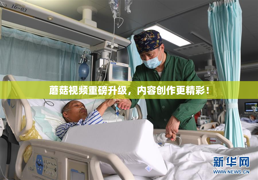 蘑菇视频重磅升级，内容创作更精彩！