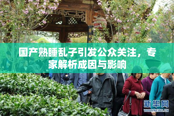 国产熟睡乱子引发公众关注，专家解析成因与影响