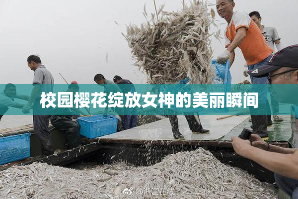 校园樱花绽放女神的美丽瞬间