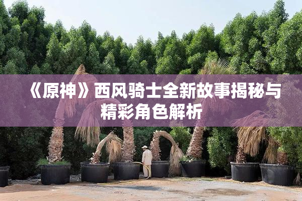 《原神》西风骑士全新故事揭秘与精彩角色解析